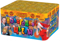 Новогодние цветы Фейерверк купить в Багратионовске | bagrationovsk.salutsklad.ru