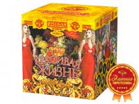 Красивая жизнь Фейерверк купить в Багратионовске | bagrationovsk.salutsklad.ru