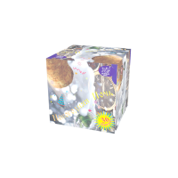 Новогодняя ночь Салют купить в Багратионовске | bagrationovsk.salutsklad.ru