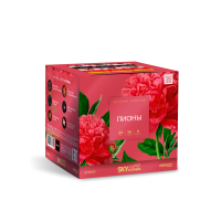 Пионы Салют купить в Багратионовске | bagrationovsk.salutsklad.ru