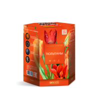 Тюльпаны Салют купить в Багратионовске | bagrationovsk.salutsklad.ru