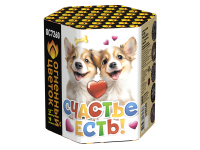 Счастье есть! Салют купить в Багратионовске | bagrationovsk.salutsklad.ru