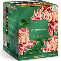 Хризантемы Фейерверк купить в Багратионовске | bagrationovsk.salutsklad.ru