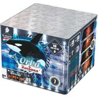 Косатка Фейерверк купить в Багратионовске | bagrationovsk.salutsklad.ru