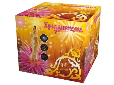 Хризантема Салют купить в Багратионовске | bagrationovsk.salutsklad.ru