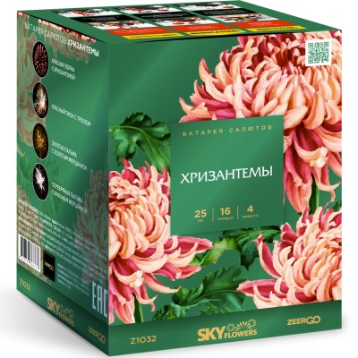 Хризантемы Фейерверк купить в Багратионовске | bagrationovsk.salutsklad.ru