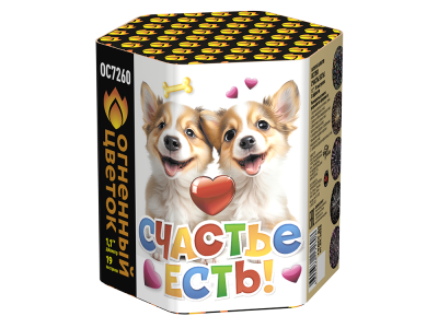 Счастье есть! Салют купить в Багратионовске | bagrationovsk.salutsklad.ru