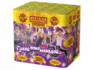 Гуляй, пока молодой Салют купить в Багратионовске | bagrationovsk.salutsklad.ru